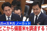 【速報】国民・玉木代表「あと1年たったら動物のえさになるようなものを『安く売ります』と言っても、そりゃ安く出ますよ」