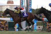 【競馬予想】第35回 ファルコンステークス(G3) /2021