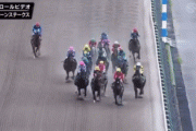 【観覧注意】ウマさん、レース中に心臓麻痺を起こしてしまう…【gif】