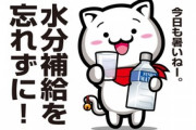【猛暑】スポーツドリンクを薄めて飲むのはNGと判明