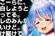 にじさんじVTuberさん、「ぺこーらに、告白しようと思ってる」の歌ってみた動画を投稿してしまうｗｗｗｗ