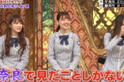【日向坂46】奈良県民を敵に回す加藤史帆wwww【芸能人格付けチェック2021】