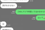 「山いらない？　今爺ちゃんから4つもらった」　親から届いたとんでもLINEに「田舎あるある」の声
