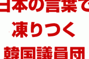 来日した韓国議員団、日本政府の言葉で凍りつく！　二階先生との会談も突如中止に！　完全に終わったな…