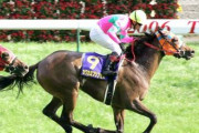 【訃報】2006年牝馬2冠・カワカミプリンセス、死去　20歳