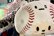 【悲報】侍ジャパン公式マスコットたまべヱ、消えるｗｗｗｗｗｗｗｗｗｗｗ