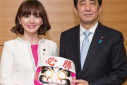【朗報】美人すぎる港区議員が見つかる