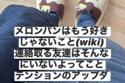 メロンパン同盟会長　現在のお気持ちを公式表明