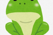 【画像】ワイの飼ってる自慢のカエルちゃんがこちら