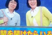 阿佐ヶ谷姉妹のネタｗｗｗｗｗ