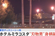 【速報】東京ディズニーシーのホテルミラコスタ「刃物男・30代の中国籍男性の身柄確保」