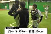 野球選手って生で見るとデカいん？