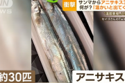【寄生虫】サンマに“アニサキス”　パック内に30匹「あのレベル感はない」…“温度管理”失敗か
