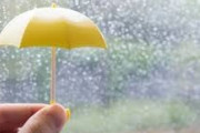 雨は好きな方ですか？嫌いな方ですか？