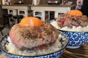 【画像】レアハンバーグ丼・ユッケ丼、大ブーム到来してしまう🤓