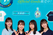 【日向坂46】グッズページ更新！！商品よりモデルが目立ってしまう・・・