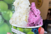 【画像】「マサノリ園」のジェラート、美味そう