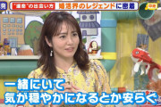 清純派女さん「理想は一緒にいて安らぐ人です」 ベテランアドバイザー「あーこいつ(笑)」