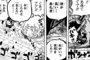 【悲報】ワンピース、ありえない致命的な矛盾が発見されるwww
