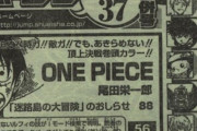 【画像】尾田栄一郎先生、14年越しに伏線回収してしまうｗｗｗｗｗｗ