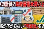 【速報】専門家解説「JAが政府の備蓄米買い上げを計算に入れ、価格を下げていない可能性がある」
