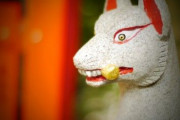 【ゾッとする】「獣くさい、狐がいる」お寺の友人宅で『こっくりさん』をした後、笑いながら現れた “存在しない老婆”