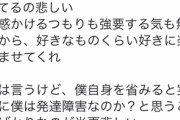 【悲報】カービィオタク、ついに己が発達であることを認めてしまう