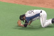 プロ野球で衝撃を受けた守備ｗｗｗｗｗｗｗｗ