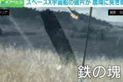 オーストラリアの羊農場で、黒焦げのスペースX宇宙船の破片が突き刺さっているのが見つかる