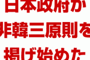 【速報】日本政府、今年に入ってから”非韓三原則”を掲げていた！　「韓国を助けるな、教えるな、関係を持つな」　　まさか政策に反映されるとは…