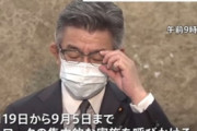 【家から出るな】政府「五輪期間中の４９日間はテレワーク・デイズとします」