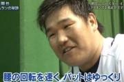 2011中村剛也 .269 48本 116打点 .973（違反球）