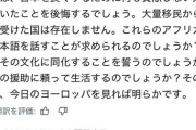 欧州「日本はアフリカ人を受け入れた事を後悔する。ソースは俺の国」