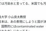 ﾃﾞｰﾌﾞｽﾍﾟｸﾀｰ「日本では処理水と言ってるが外国では汚染水と言ってる、米国でも汚染水」サンジャポにて  [8/28]