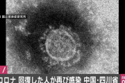 日本でコロナウイルスに罹った感染者一覧がこちら・・・