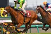 【皐月賞】サトノフラッグの鞍上はルメールに決定