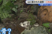 なぜ山にむき出しの遺骨が？許可のない「自然葬」に住民が憤り “森のお墓”の実態に迫る