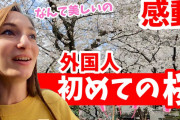 【動画】東京の桜を見に来た外国人にインタビュー「桜はどうですか？」