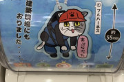 現場猫ガチャってほんとに存在するの？