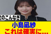 [櫻坂46]  ラヴィットさん、隙あらばこんなぎｗ