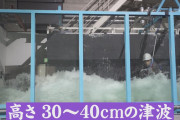 テレビ「津波30cm！危ない！逃げて！」ワイ「身長の1/5で何が危険やねんｗ」