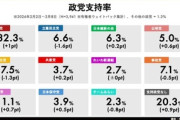 【政治】衆院選で11議席のチームみらい、直近の政党支持率が下から2番目と判明…暇空茜「組織票としか説明できない。カルト宗教真如苑だとおもいます」