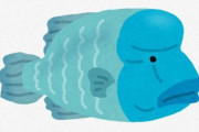 【画像】釣りの人気ターゲット「コブダイ」、恐すぎる・・・