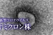 【オミクロン株症状】最もよくみられるのは「無力症と頭痛」