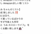 【悲報】海で猫を拾ったYouTuberさん、Amazon欲しいものリストを公開してしまう