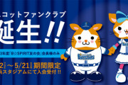 DeNAベイスターズ、マスコットファンクラブを設立