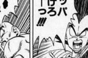 ベジータ「よけろっっっワイッッッッッ！」ワイ「へっこんなもん」スッ