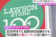「ローソンストア100」が小型スーパーに　一部店舗 業態転換で収益改善へ