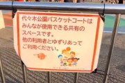 【動画】クソガキ、代々木公園のバスケットコートが外人に占領されて使えないとSNSに泣きつく