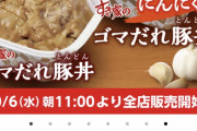 【画像】すき家の新商品がこちら
